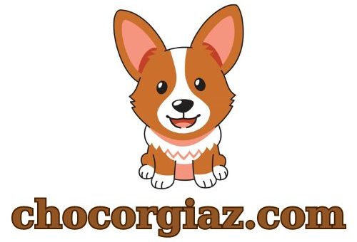 chocorgiaz.com